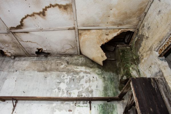 Cost of Water Damage Service in Pearland