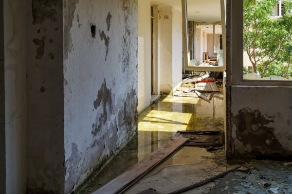 Cost of Water Removal Service in Pearland