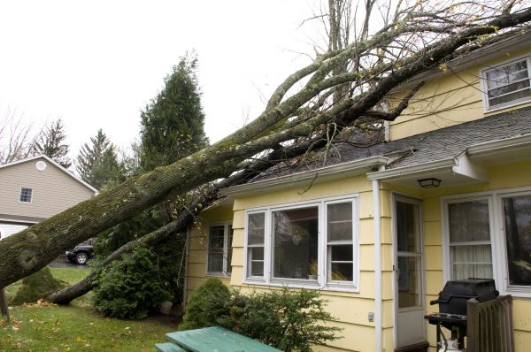Cost of Hurricane Damage Repair in Pearland
